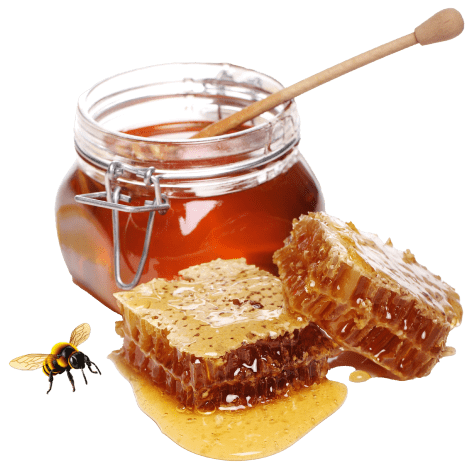 عسل جنگلی نیم کیلویی